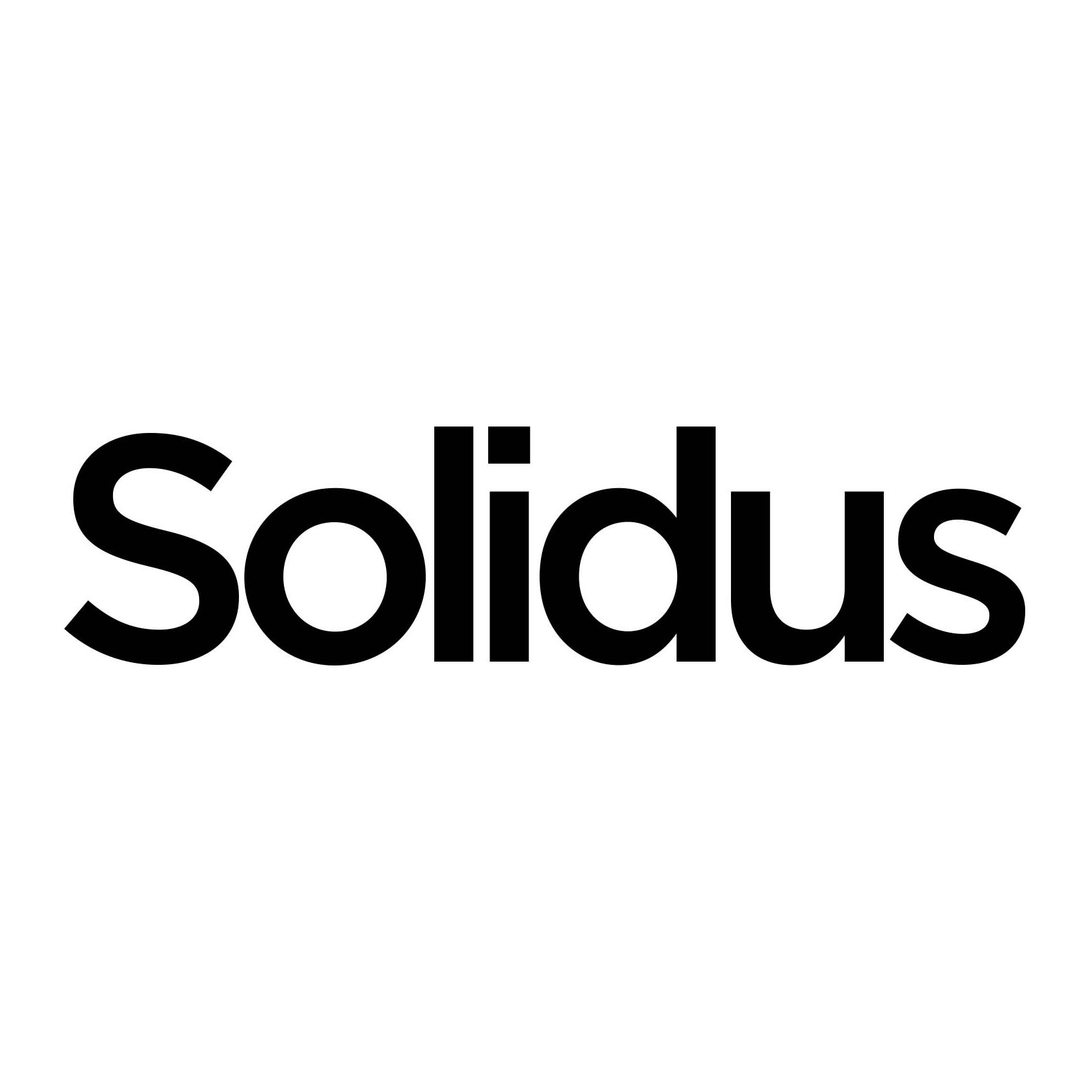 Solidus appoints Rienk Jan van der Kooi as CEO as it enters a new phase ...