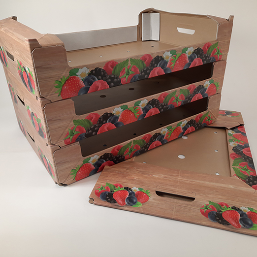 Bandejas impresas montadas a mano para frutas blandas • Solidus