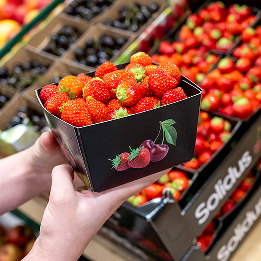 Strawberry punnets • Solidus Your circular packaging partner