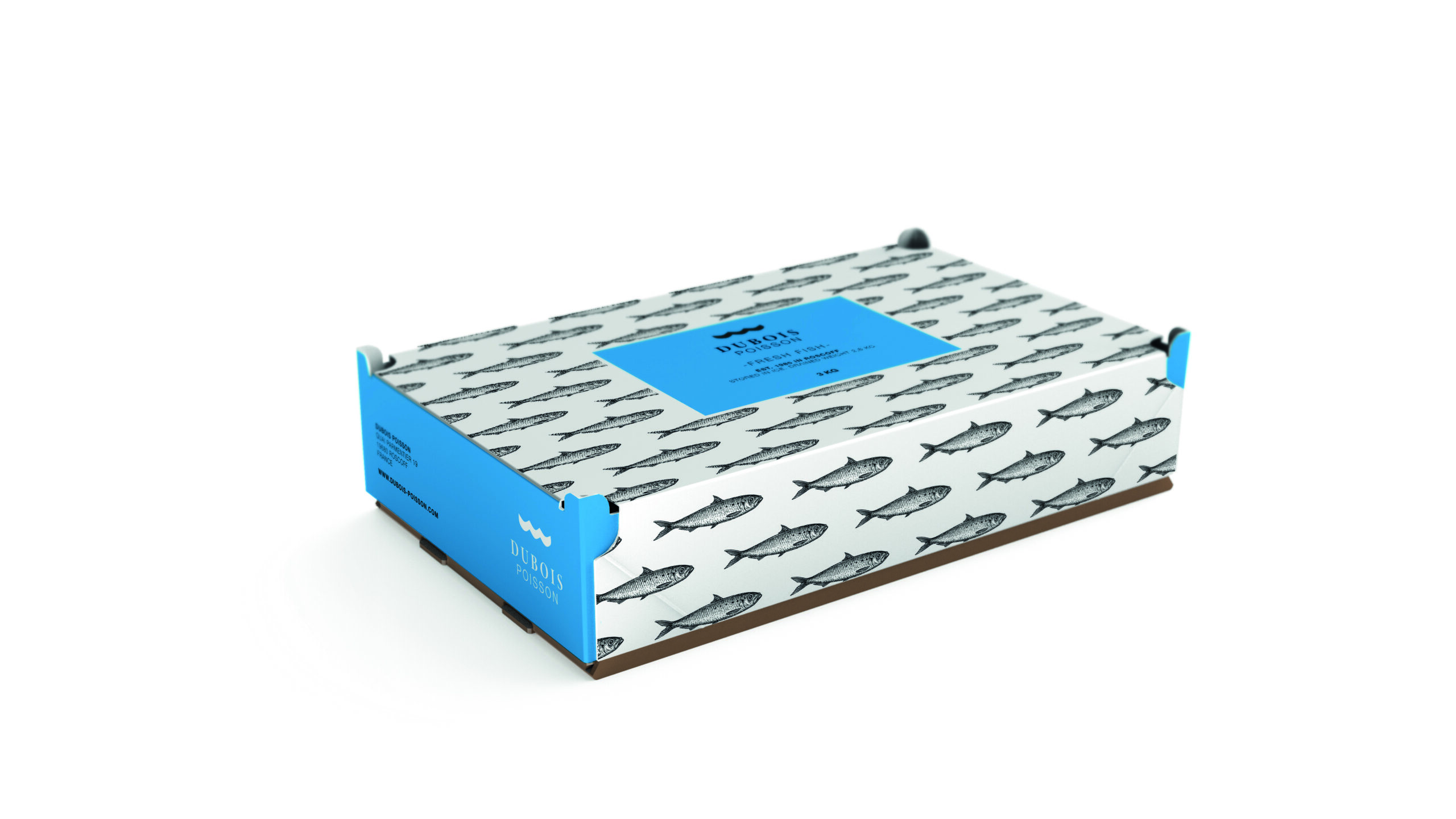 Sustainable cardboard fish boxes from Solidus with fresh fish on ice • Your circular packaging partner