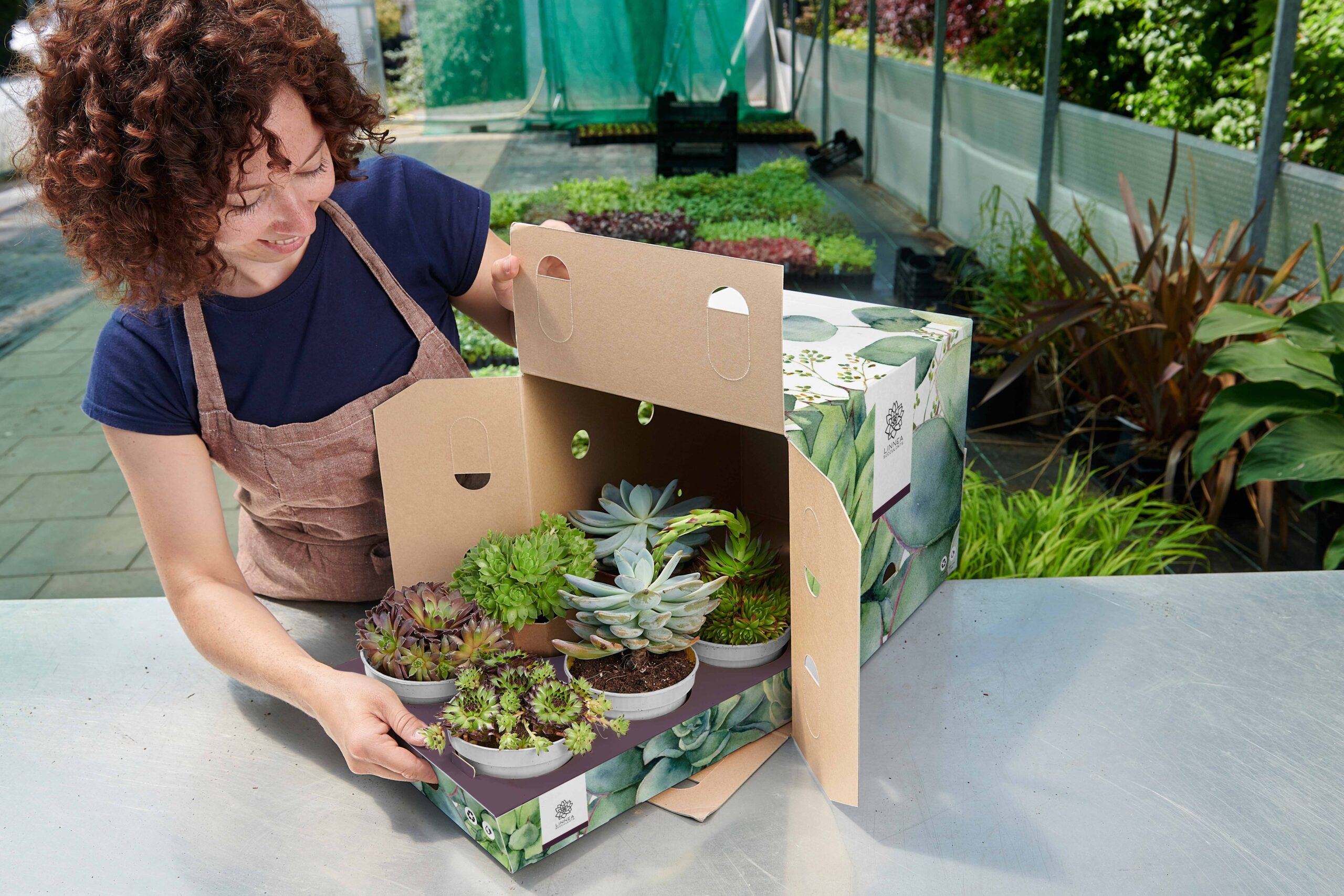 Emballage en carton compact pour protéger les fleurs et les plantes des dommages • Solidus