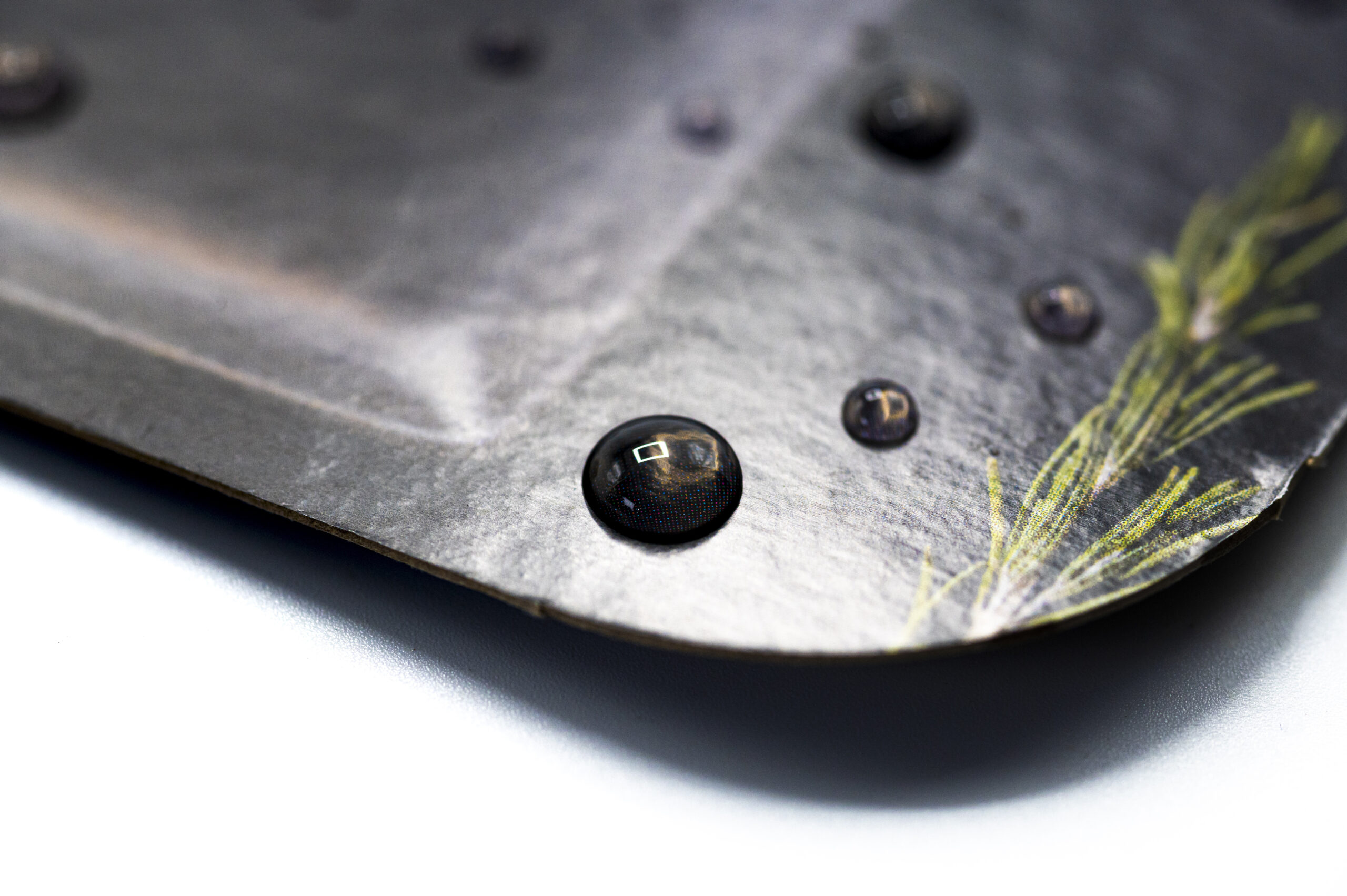 Emballage en carton compact résistant à l’humidité pour fleurs et plantes • Solidus