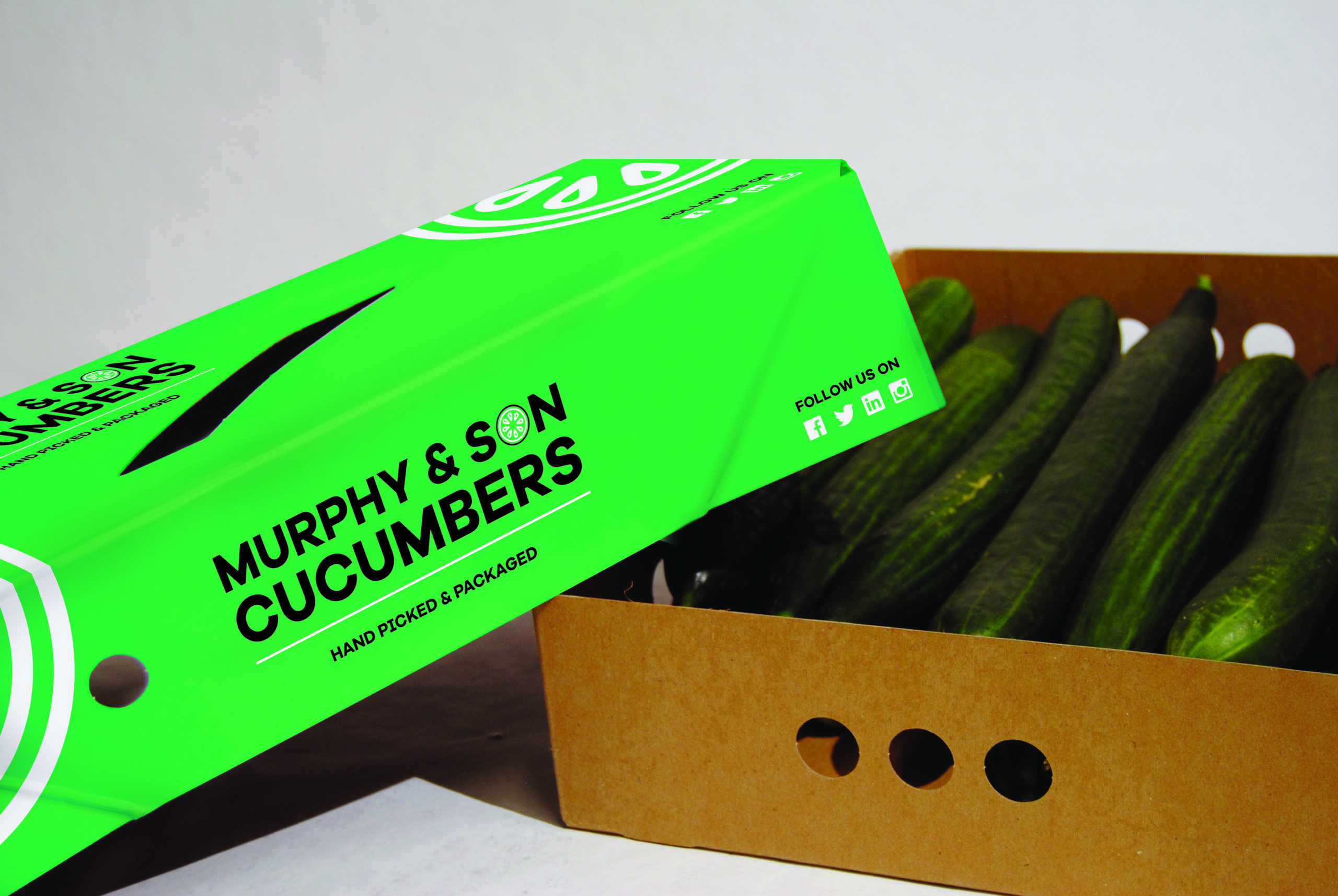 Solid board cucumber trays for sustainable vegetable packaging • Solidus