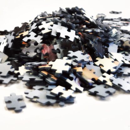 Pile of puzzle pieces • Solidus