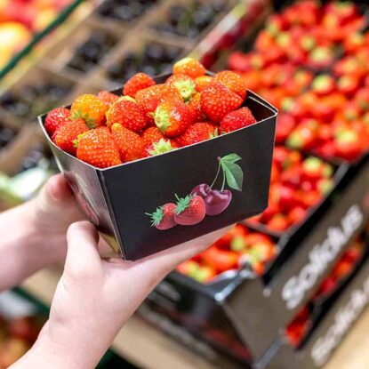 Cestas de cartón compacto para frutas blandas