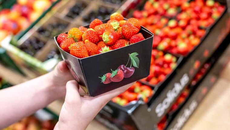 Solidus circular packaging punnets fruit EN