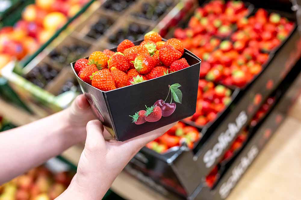 Solidus circular packaging punnets fruit EN