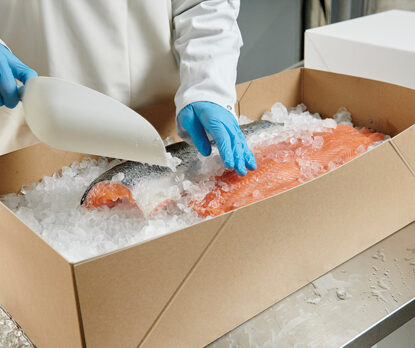 Solidus solid board fish boxes for fish & seafood, the sustainable alternative to EPS boxes • Solidus • Your circular packaging partner