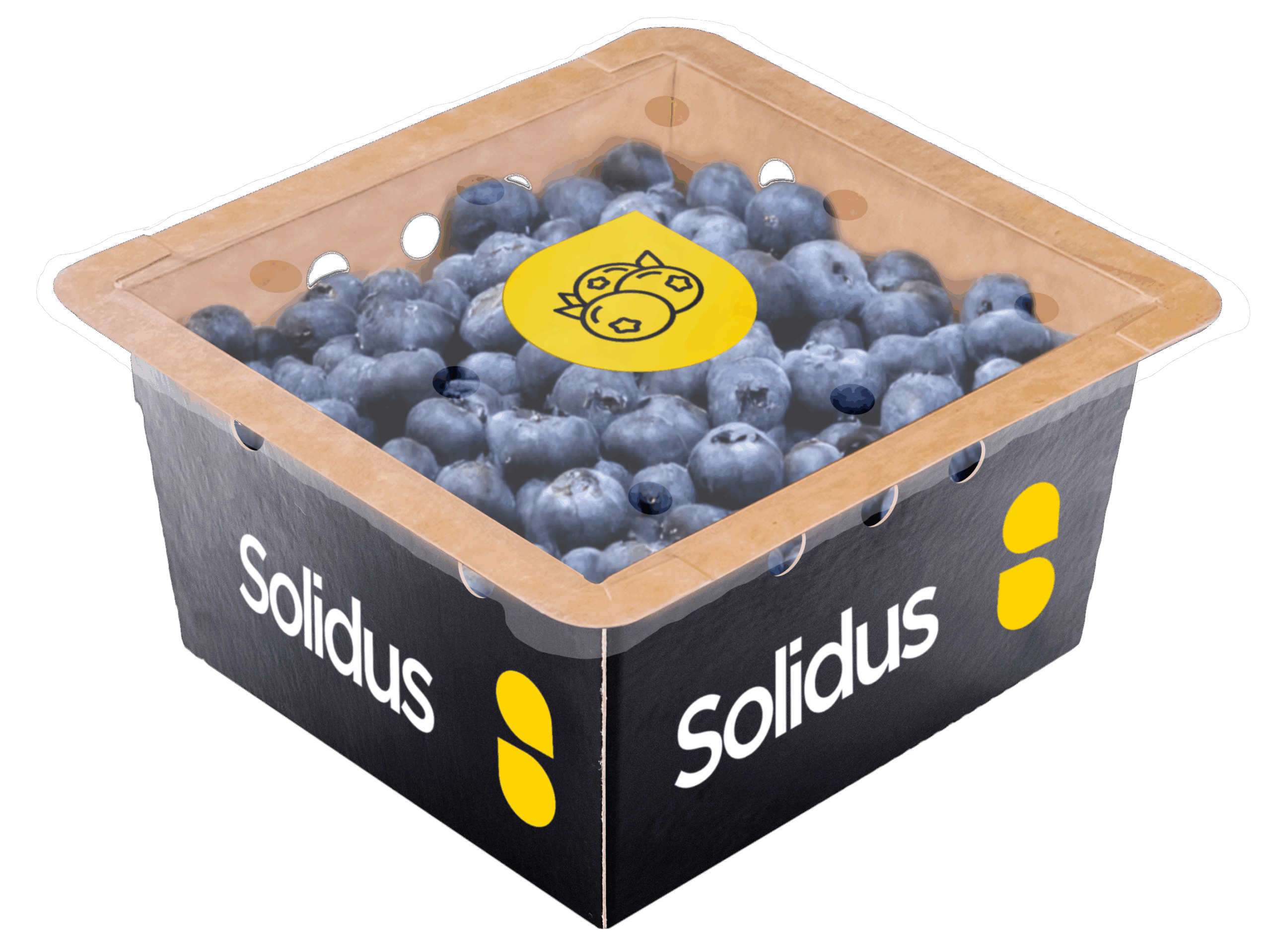 Sealable punnet for blueberries • Solidus