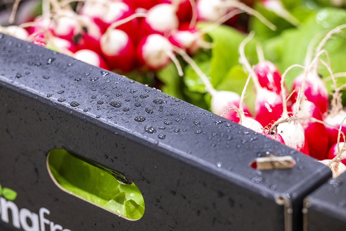 Moisture resistant trays for radish