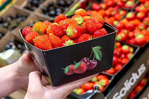 Recyclable solid board strawberry punnets from Solidus