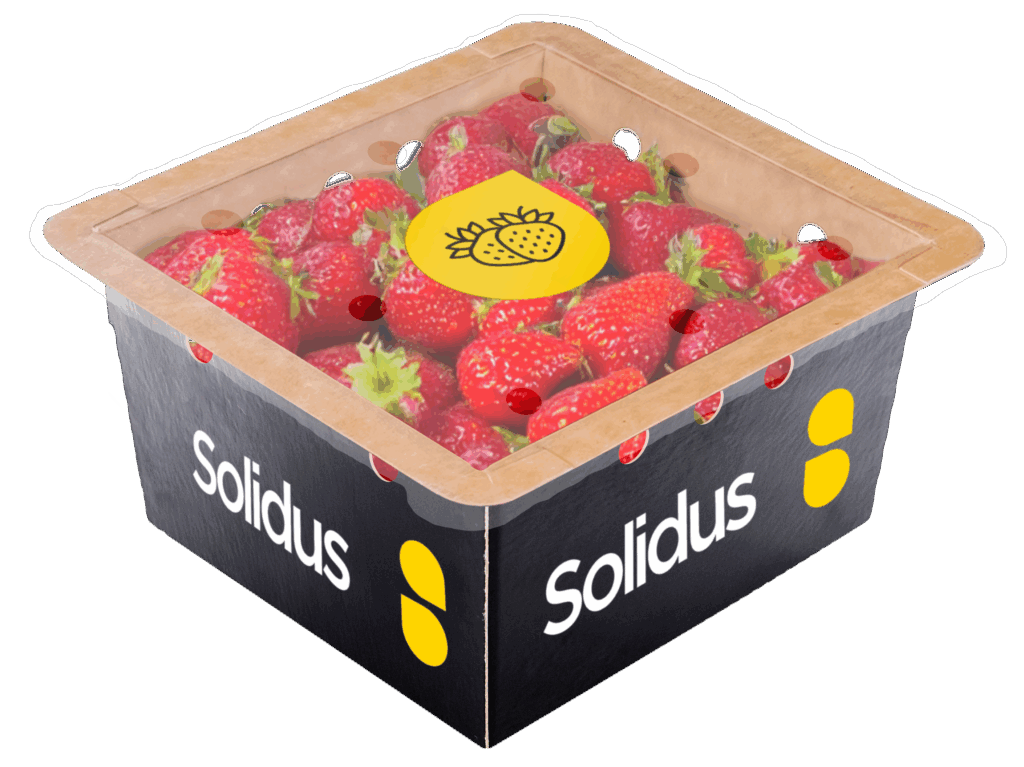Sealable strawberry punnet from Solidus
