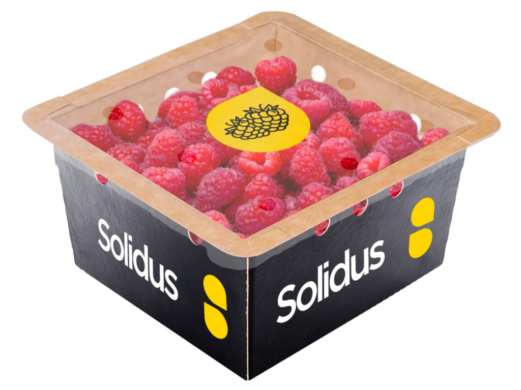 Sealable raspberry punnet crafted from fibre-based solid board to protect fresh raspberries