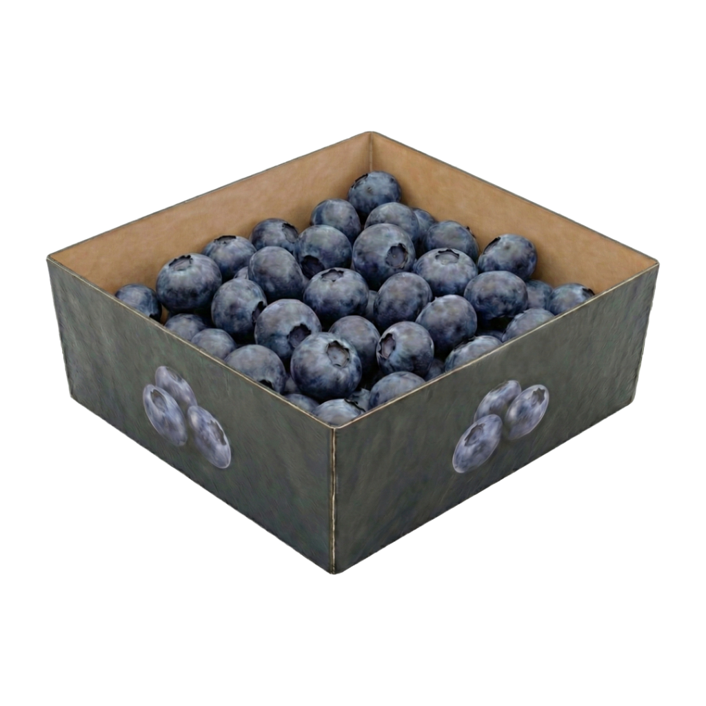Open fibre-based blueberry punnet with clear product visibility