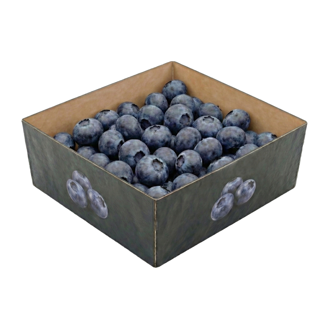 Offene Blaubeerschale aus Fasermaterial mit optimaler Produktsichtbarkeit