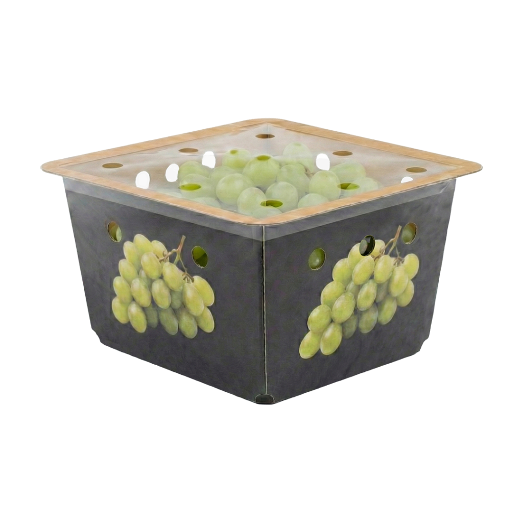 Sealed fibre-based grape punnet designed for fresh grape packaging