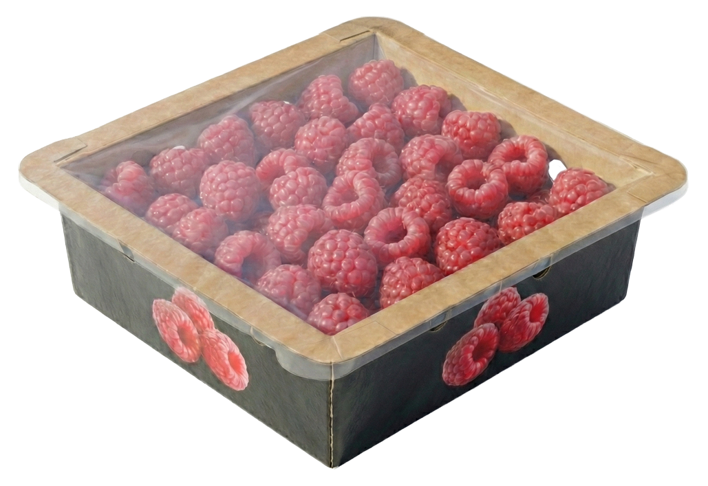 Versiegelte Himbeerschale aus Fasermaterial zum Schutz empfindlicher Himbeeren